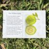 The informative label for the Thai White Guava Tree available for purchase and local pickup in Fort Myers, Florida.