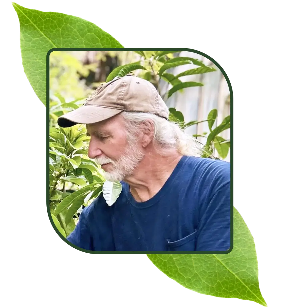 Terry Kays of Tigertoes Herbs and Teas